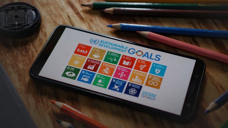 Year of Sustainability: Navigating 2024 with DMCC and C3